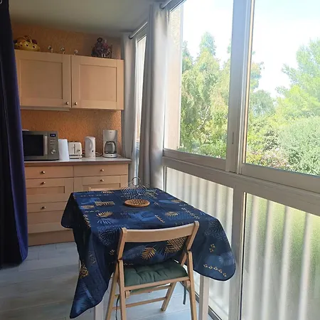 T3 Piscine Parking Apartment